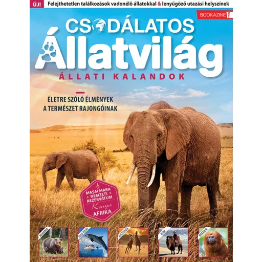 Csodálatos álllatvilág - Állati kalandok - Füles BOOKAZINE (2024/01)