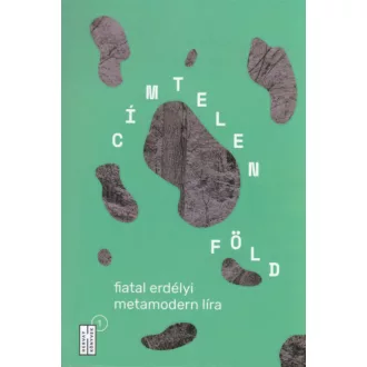  Címtelen föld - fiatal erdélyi metamodern líra - André Ferenc - Horváth Benji