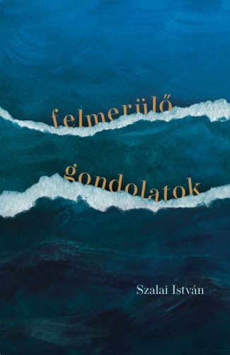 Felmerülő gondolatok - Szalai István