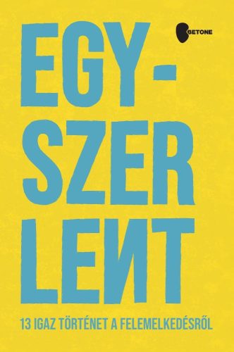 Egyszer lent - 13 igaz történet a felemelkedésről - Román Balázs - Zsiga Henrik