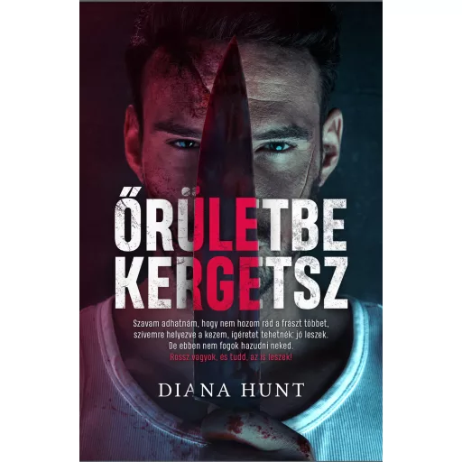 Őrületben 1. - Őrületbe kergetsz (Új kiadás) - Diana Hunt