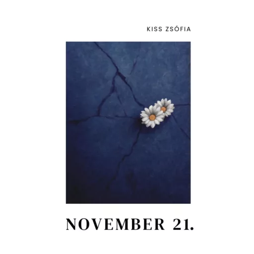 November 21. - Kiss Zsófia