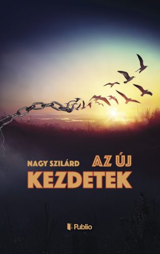 Az új kezdetek - Nagy Szilárd