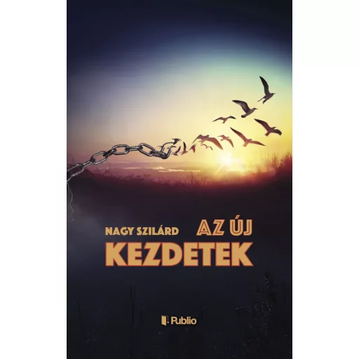 Az új kezdetek - Nagy Szilárd