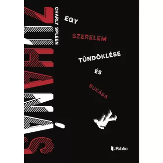 Zuhanás - Charly Spleen