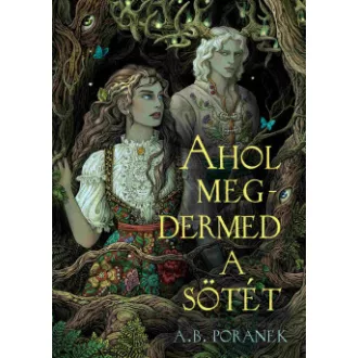 Ahol megdermed a sötét - A. B. Poranek