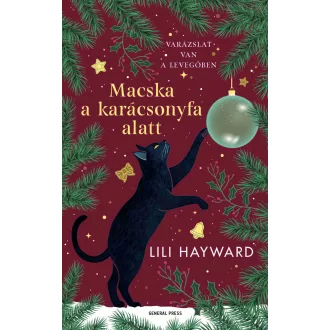 Macska a karácsonyfa alatt - Lili Hayward