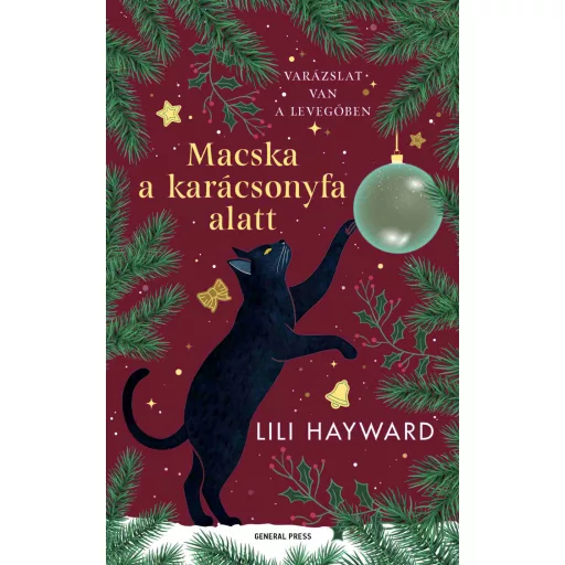 Macska a karácsonyfa alatt - Lili Hayward