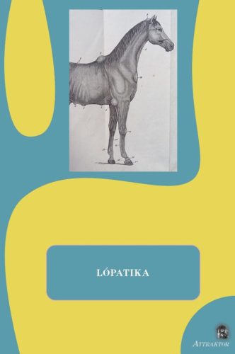 Lópatika - Lovas Borbála