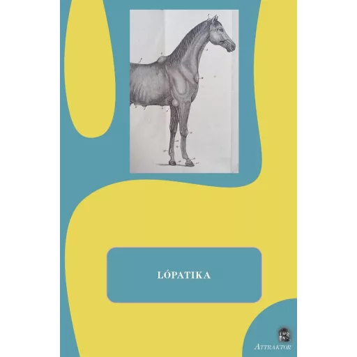Lópatika - Lovas Borbála