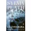 Az üvegbura - Mary Ventura és a Kilencedik királyság - Sylvia Plath