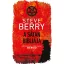 A Sátán bibliája - Steve Berry