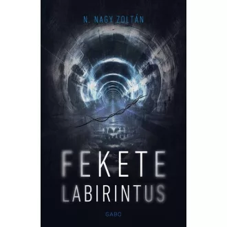 Fekete labirintus - N. Nagy Zoltán