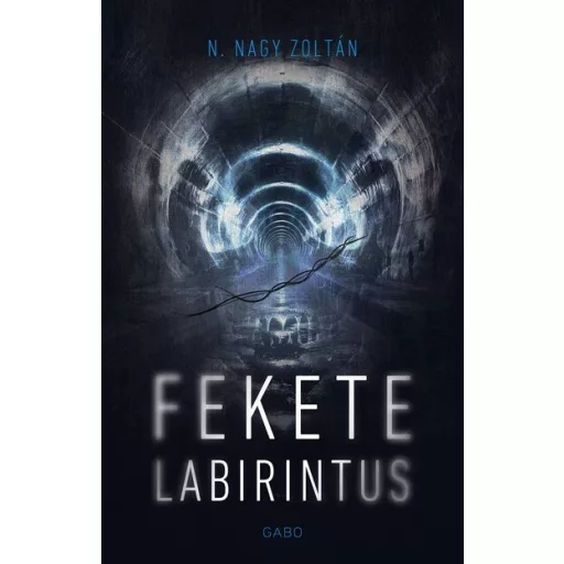 Fekete labirintus - N. Nagy Zoltán