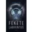 Fekete labirintus - N. Nagy Zoltán