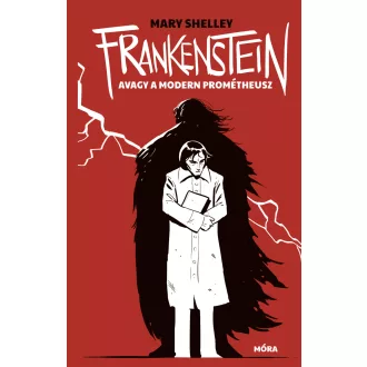   Frankenstein, avagy a modern Prométheusz - zsebkönyv - Mary Shelley