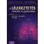 A lélegeztetés elmélete és gyakorlata - Valkó Luca, Lorx András, Gál János