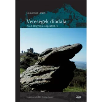 Vereségek diadala - Domonkos László