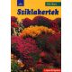 Sziklakertek - Dirk Mann