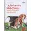 Legkedvesebb állatkölykeim /Kreatív rajziskola gyerekeknek (Kaiser)