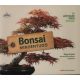 Bonsai mindentudó - Annegret Rüger