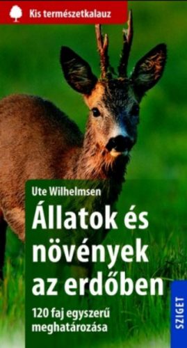 Állatok és növények az erdőben - 120 faj egyszerű meghatározása (Ute Wilhelmsen)