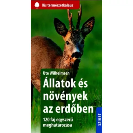 Állatok és növények az erdőben - 120 faj egyszerű meghatározása (Ute Wilhelmsen)