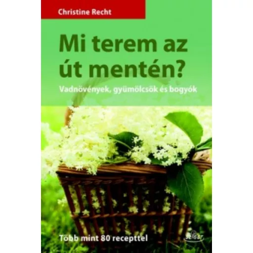 Mi terem az út mentén? /Vadnövények, gyümölcsök és bogyók - több mint 80 recepttel (Christine R