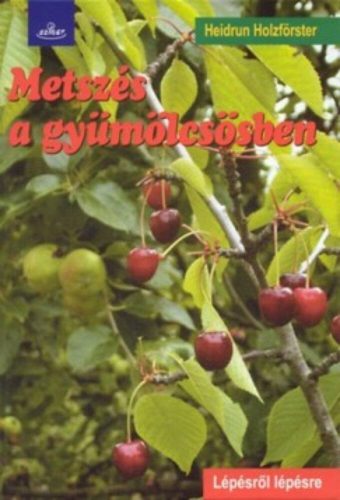 Metszés a gyümölcsösben  - Lépésről lépésre