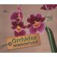 Orchidea mindentudó - 99 lényegre törő válasz - Dr. Folko Kullmann