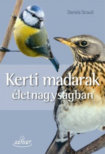 Kerti madarak életnagyságban - Daniela Strauss