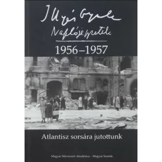   Illyés Gyula: Naplójegyzetek 1956-1957 - Horváth István - Illyés Mária