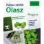 PONS Képes szótár - Olasz (Temesvári Zsolt (Szerk.))