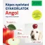 PONS Képes nyelvtani gyakorlatok - Angol (Samuel Hemingway)