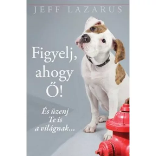 FIGYELJ, AHOGY Ő! /ÉS ÜZENJ TE IS A VILÁGNAK... (Jeff Lazarus)