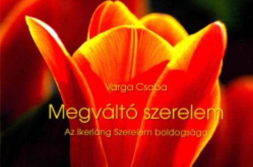 Megváltó szerelem - Az Ikerláng Szerelem boldogsága - Varga Csaba
