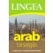 Lingea arab társalgás /Szótárral és nyelvtatni áttekintéssel (Nyelvkönyv)