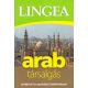 Lingea arab társalgás /Szótárral és nyelvtatni áttekintéssel (Nyelvkönyv)