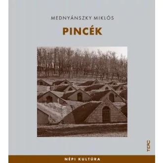 Pincék - Mednyánszky Miklós