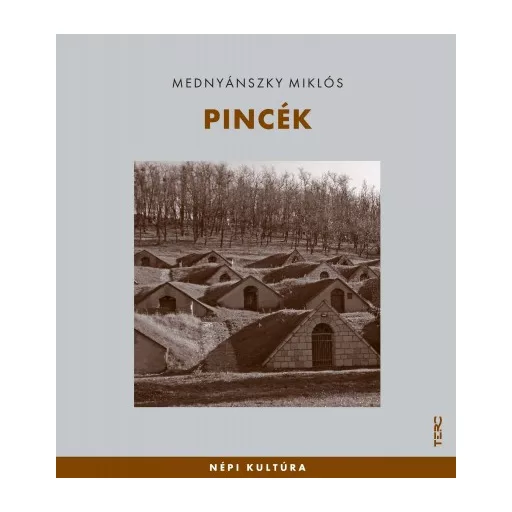 Pincék - Mednyánszky Miklós