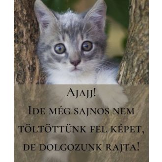 Danny mesél - ez nem az apu hangja!