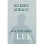 Kornis Mihály: Egy kisfiúban élek