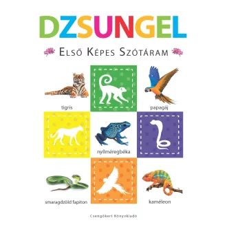 Dzsungel - Első képes szótáram - Szivacskönyv
