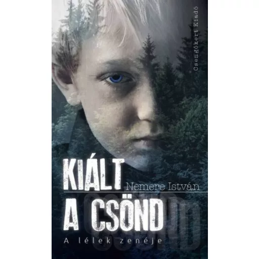 Kiált a csönd - A lélek zenéje - Nemere István
