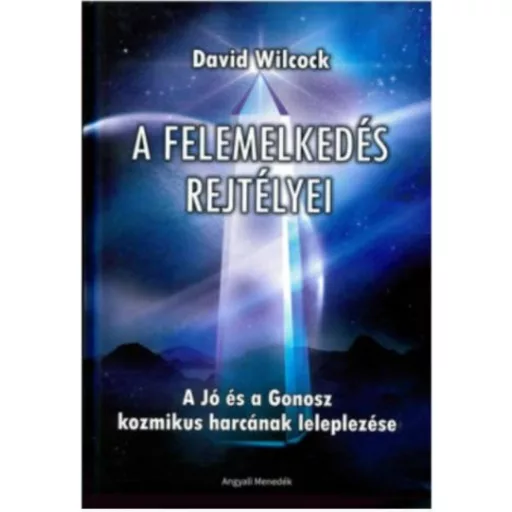 A felemelkedés rejtélyei - David Wilcock
