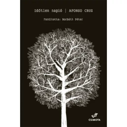 Időtlen napló (Afonso Cruz)