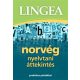 Lingea norvég nyelvtani áttekintés /Praktikus példákkal (Nyelvkönyv)