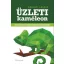 Üzleti kaméleon /Hogyan legyünk sikeres menedzserek? (Károlyi László)