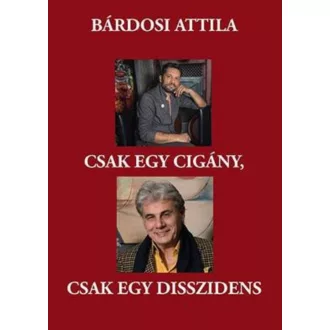 Csak egy cigány, csak egy disszidens - Bárdosi Attila