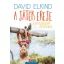 David Elkind: A játék ereje - A visszakapott gyerekkor